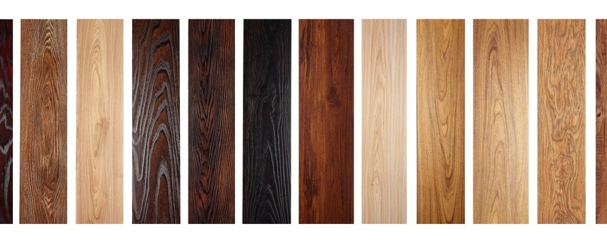 different wood species